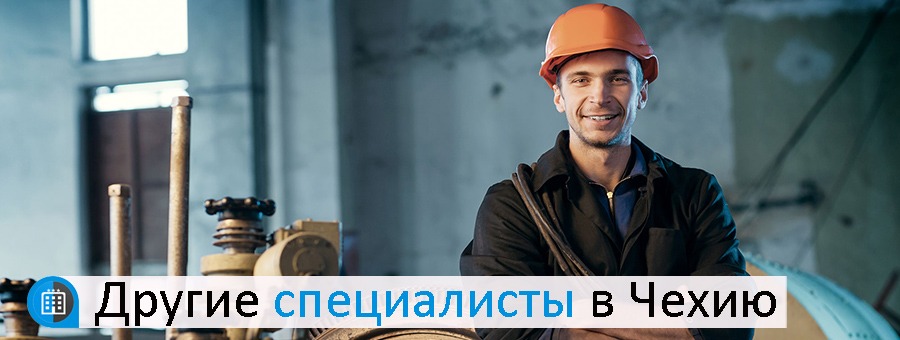 Другие специалисты в Чехию
